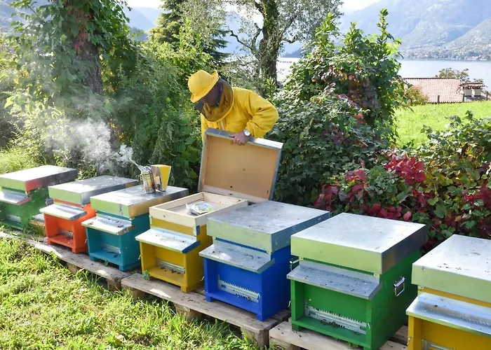 Il Colle ファームステイ ベッラージョ