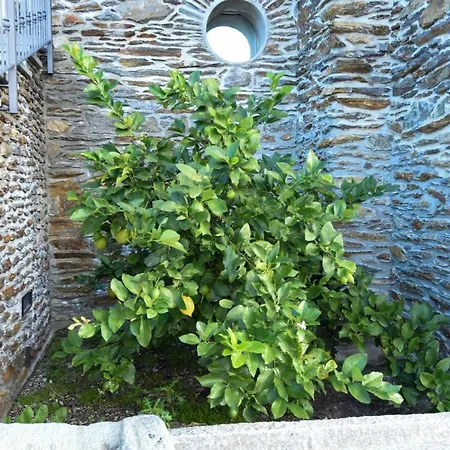 Alojamento de Turismo Rural Il Colle *