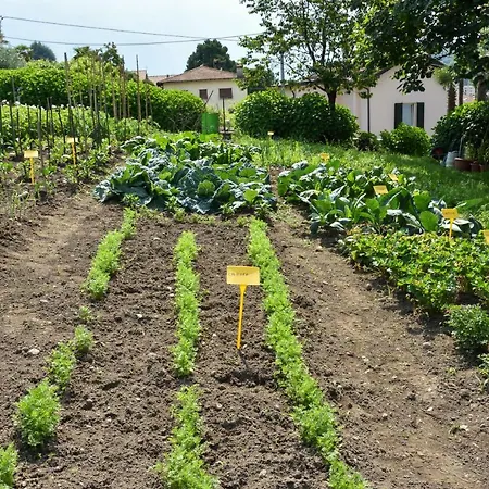 Il Colle Séjour à la ferme Bellagio