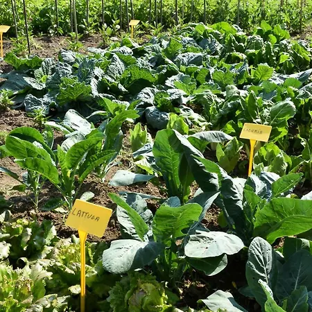 Il Colle Séjour à la ferme