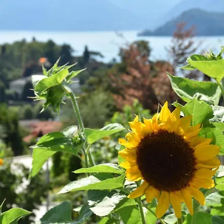 Séjour à la ferme Il Colle