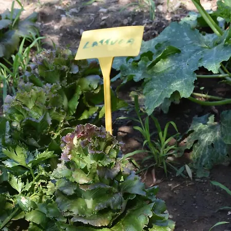 Séjour à la ferme Il Colle
