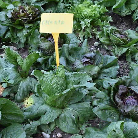 Il Colle Séjour à la ferme