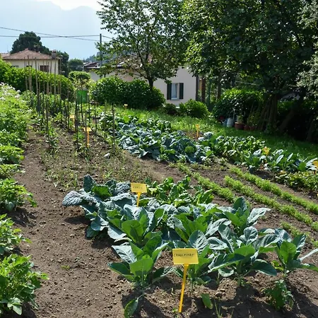 Il Colle Bellagio