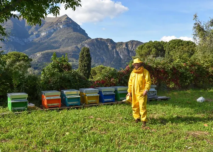 Farma Il Colle Bellagio