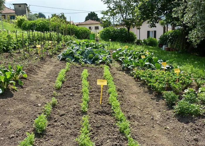 Il Colle בית חווה בלאג'יו
