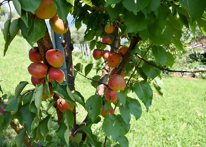 בית חווה Il Colle *