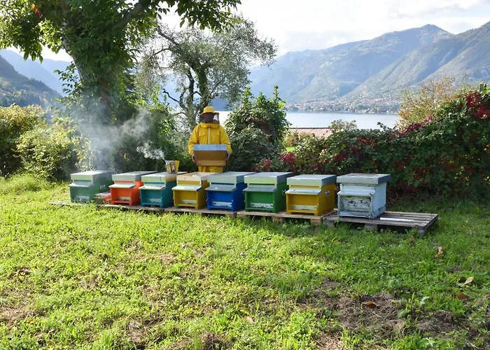 Il Colle בית חווה *