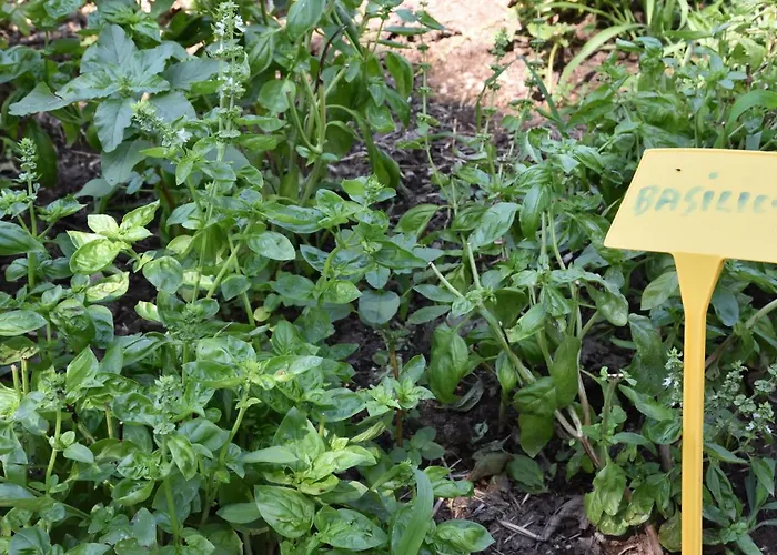 בית חווה Il Colle *