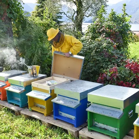 Il Colle مزرعة للإقامة بيلاجيو