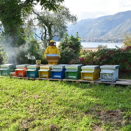 Il Colle مزرعة للإقامة *