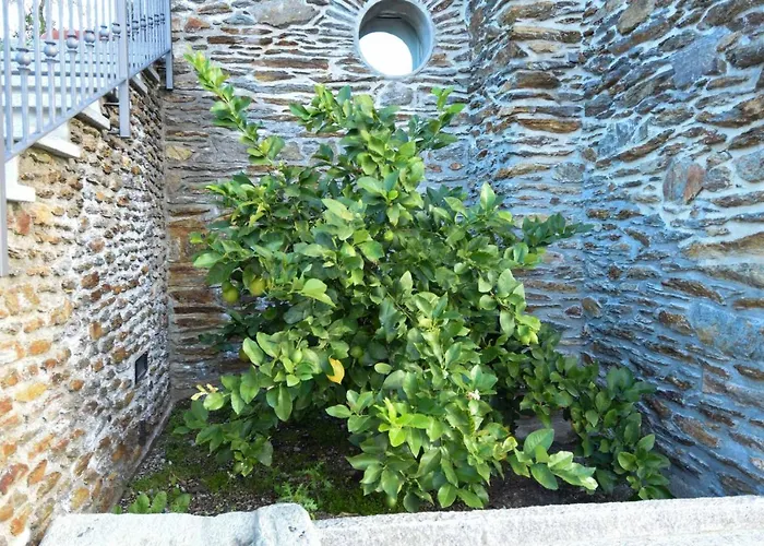 Фермерский дом Il Colle *