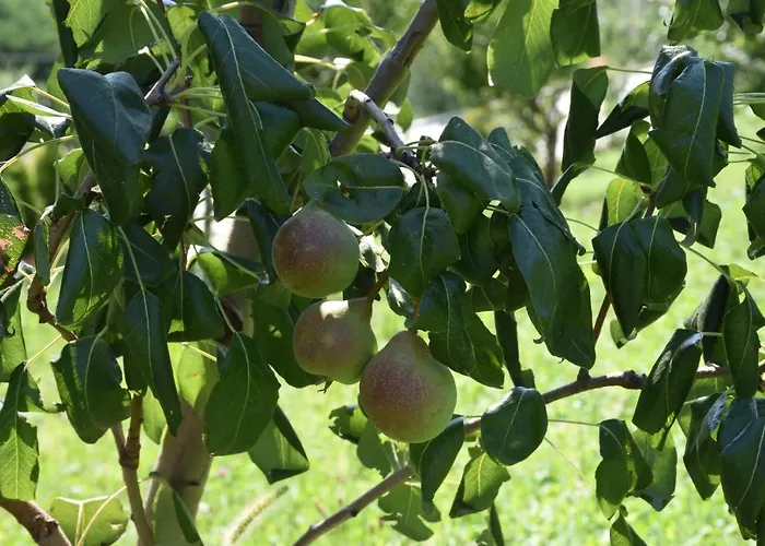 Il Colle * Белладжо