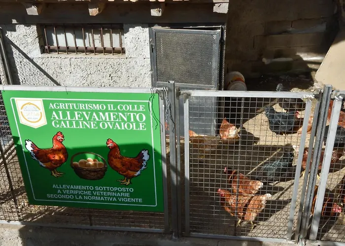 Il Colle * Белладжо