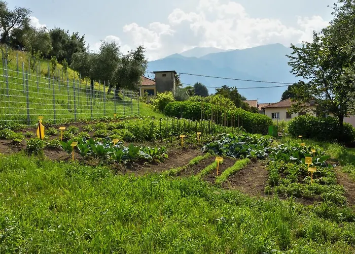 Il Colle * Белладжо