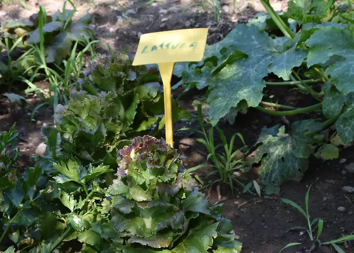 Фермерский дом Il Colle