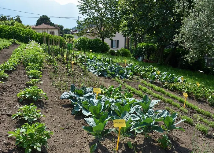 Il Colle Белладжо